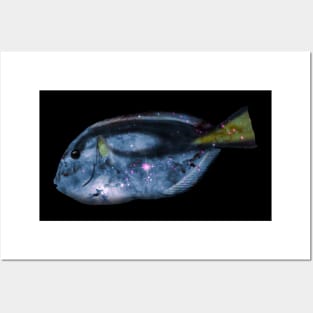 Galaxy Blue Tang Posters and Art